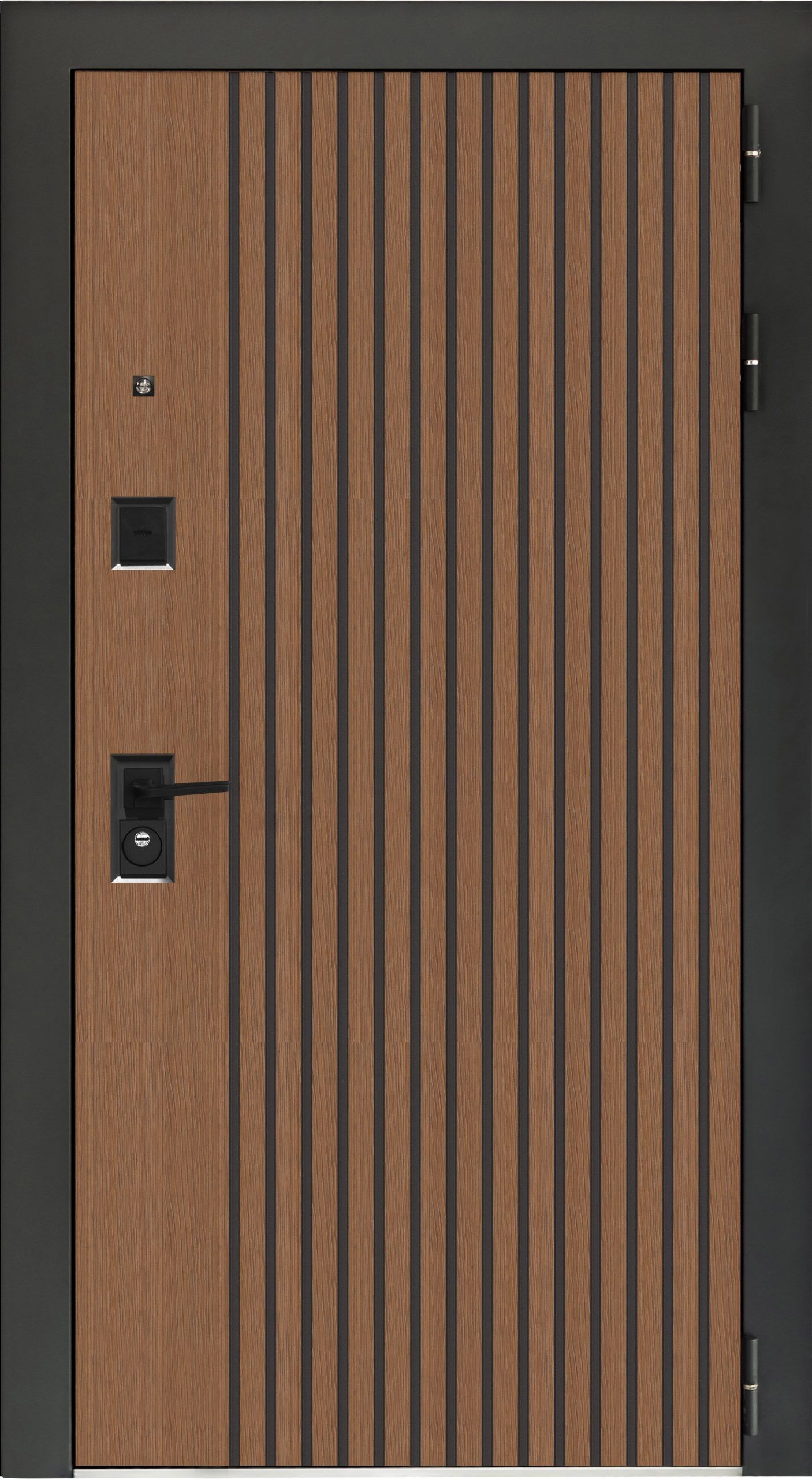 Входные двери коллекции "STORM"